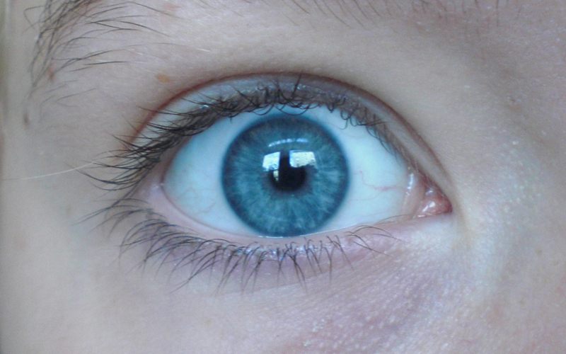 Die Iris eines Auges